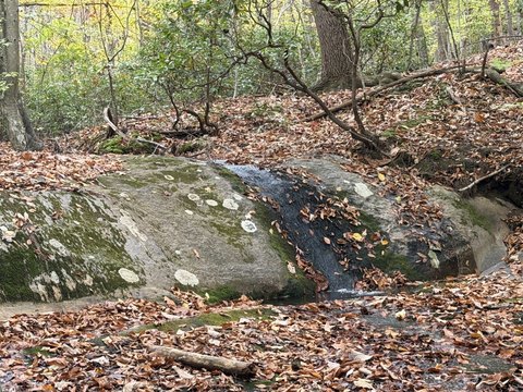 Hunting and Recreational Land with Stream