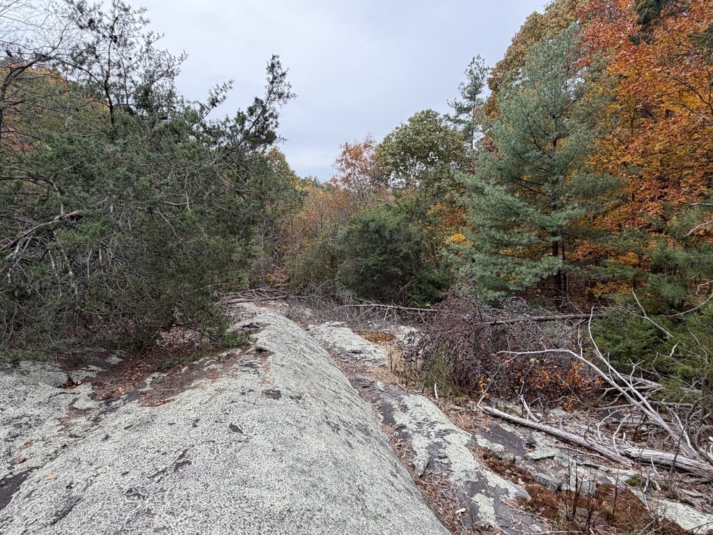 Picture 10