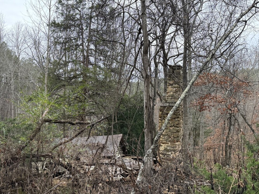 Picture 21