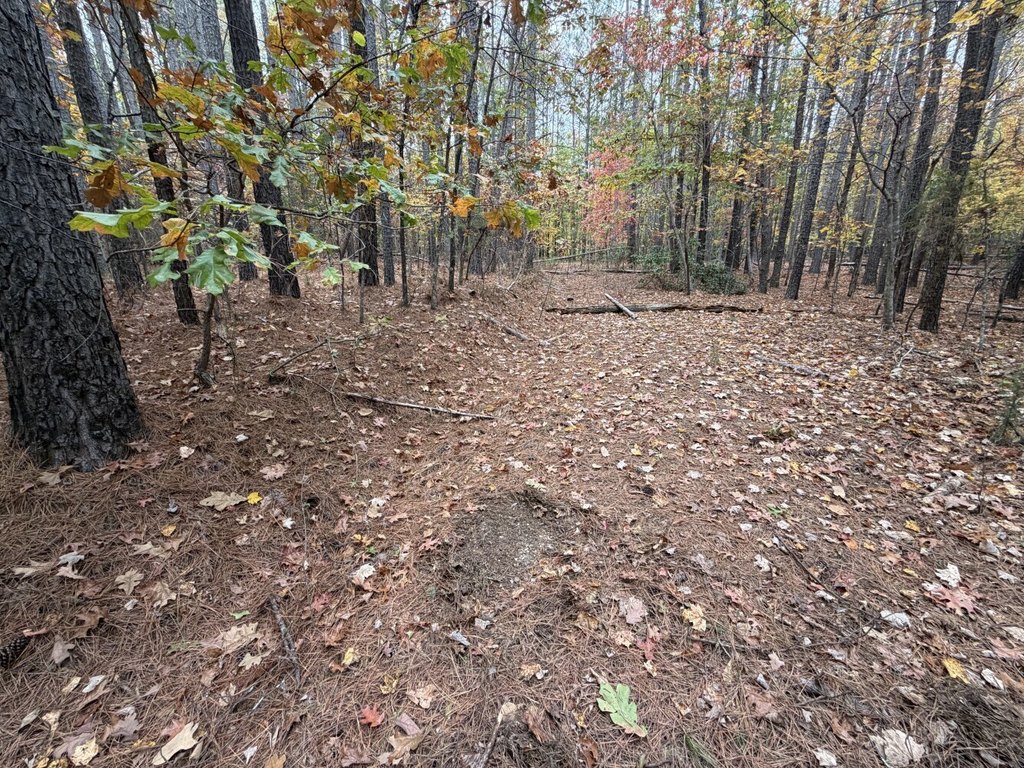 Picture 18