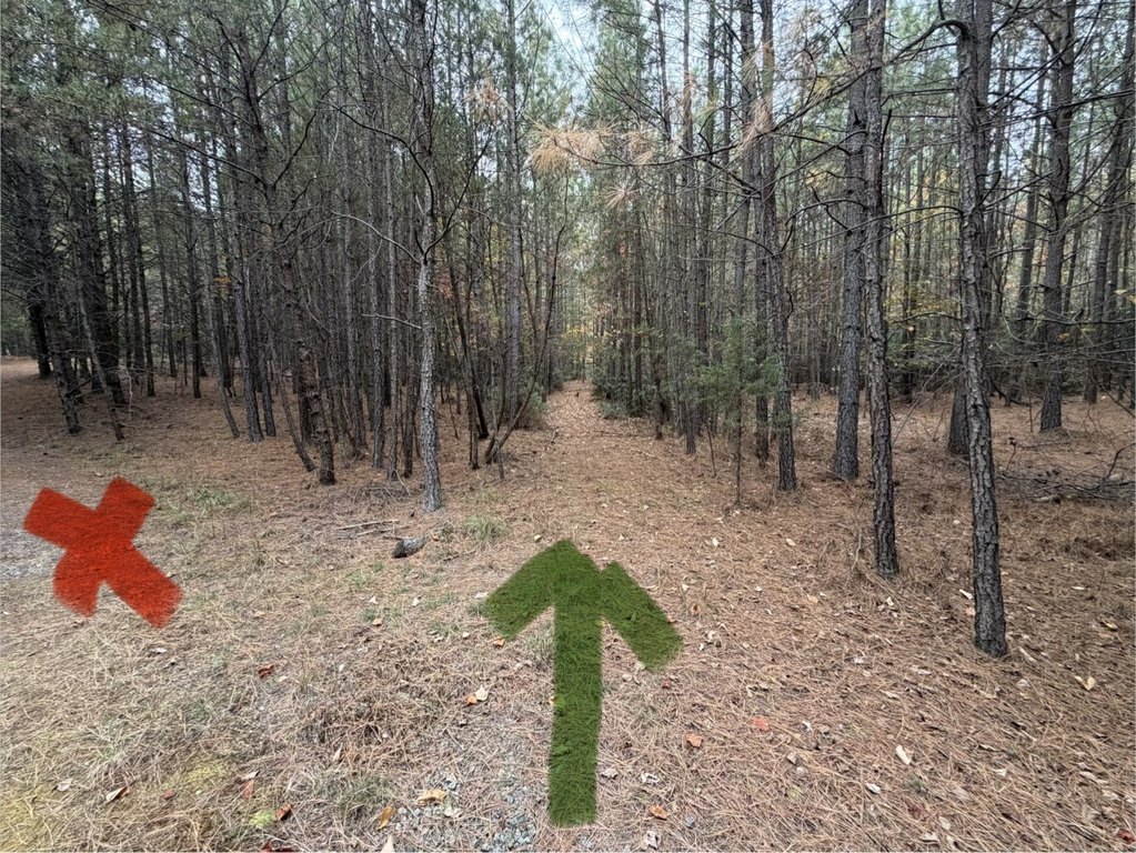 Picture 8