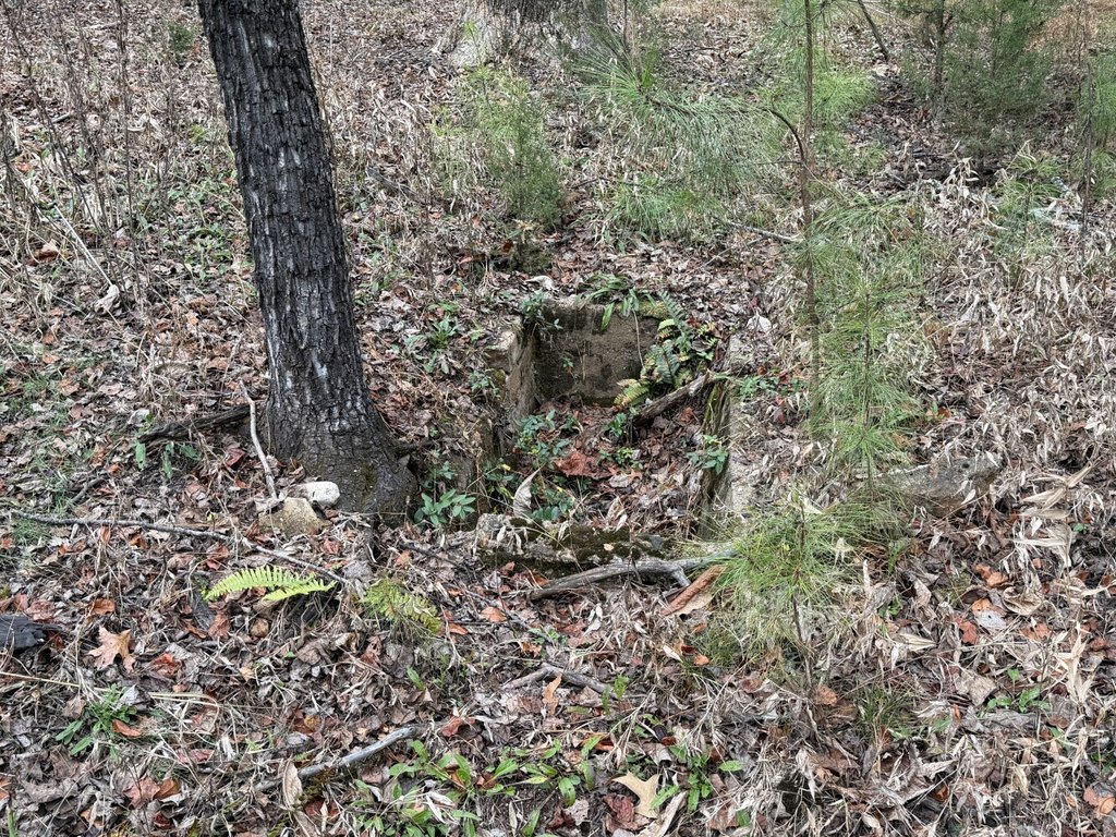 Picture 23