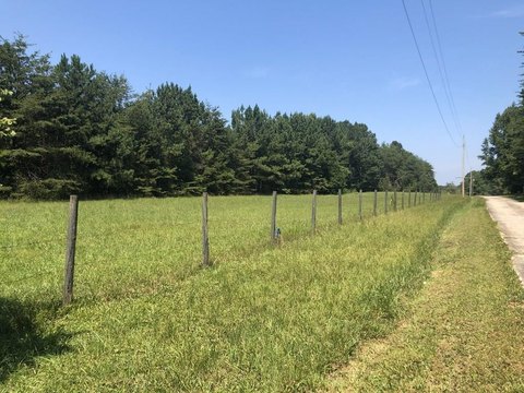 Ringgold Land with Building Sites