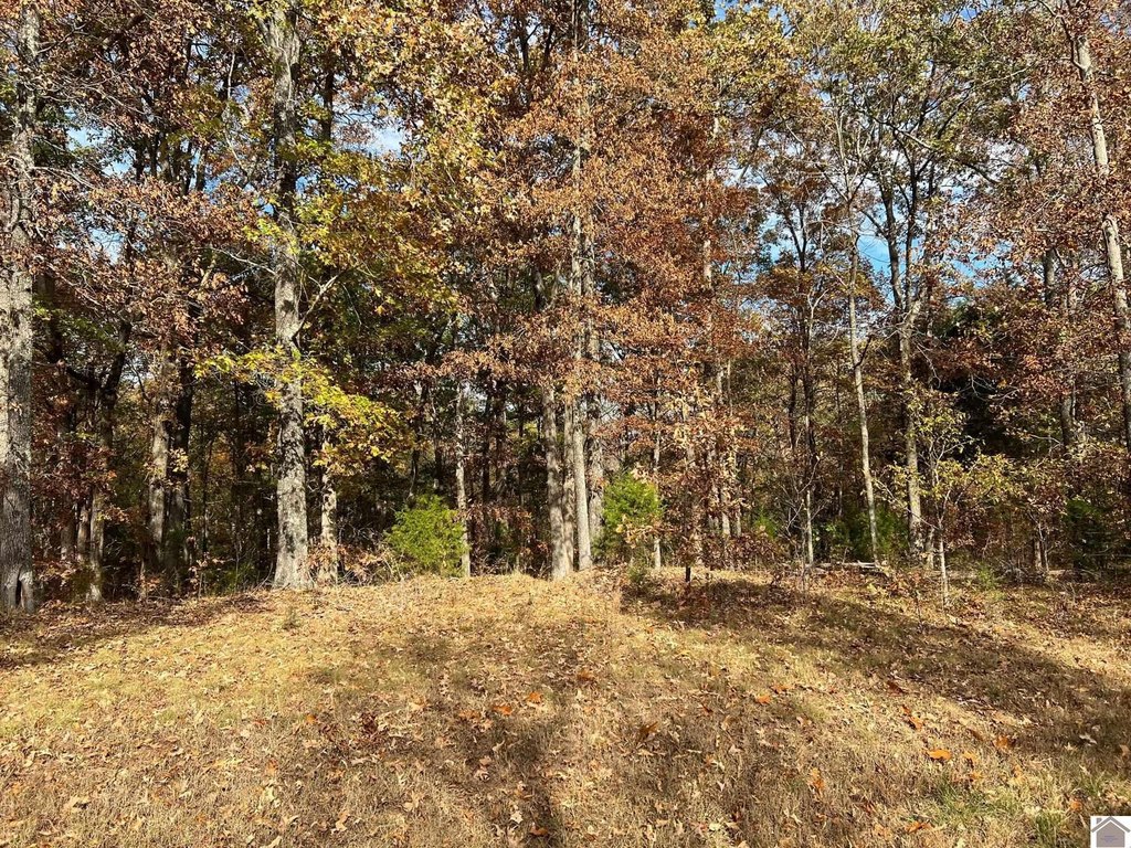 Picture 4