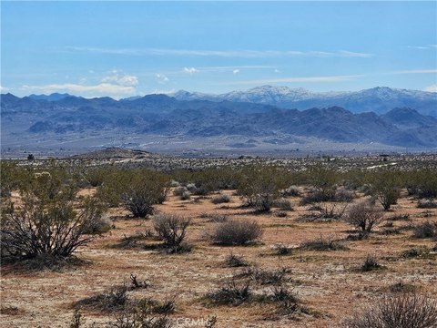 Joshua Tree Land For Sale