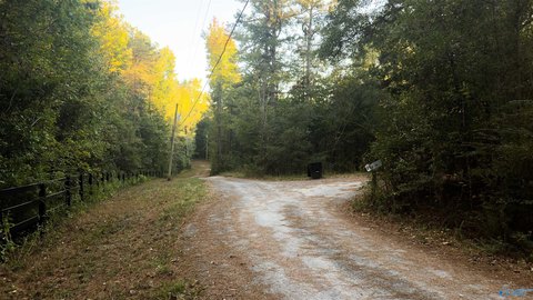 Land, Guntersville, AL