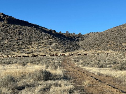 Ranch-Style Farmland with Stock Well