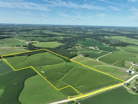 Tillable Farmland with Timber Habitat