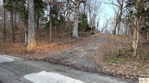 Versatile Land in Grayson County