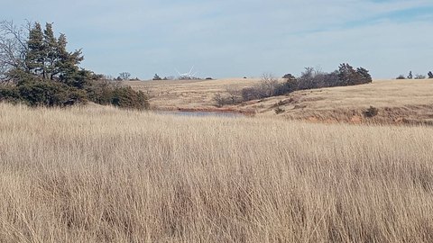 Hunting and Cattle Ranch Land
