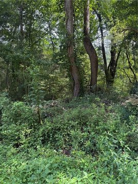 Residential Land in Conyers, GA