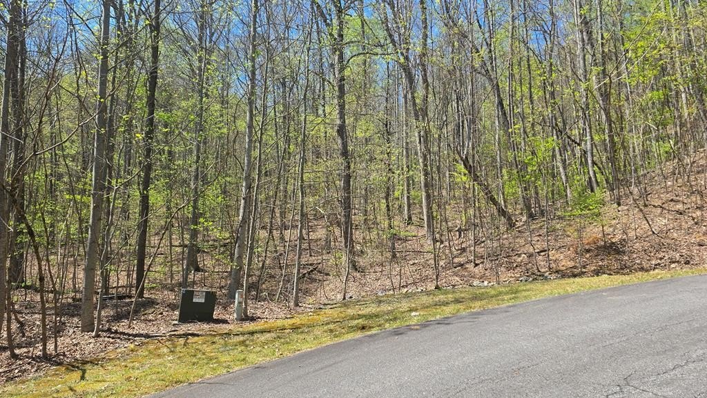 Wooded Lot in Young Harris