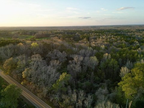 19 Acres in Glenwood, AL