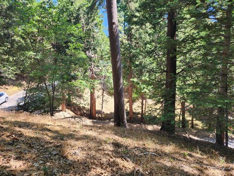 Crestline Land with Forest Views