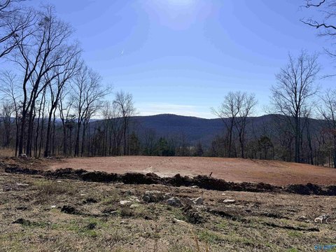 Owens Cross Roads Land Available