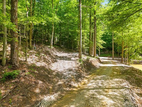 Land in Red River Gorge