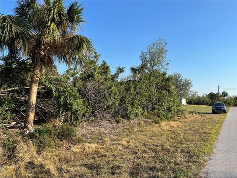 Land, PORT CHARLOTTE, FL