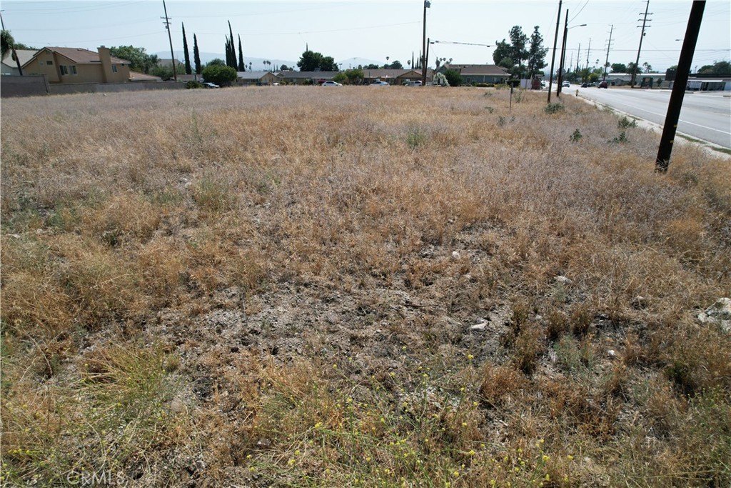 Picture 19