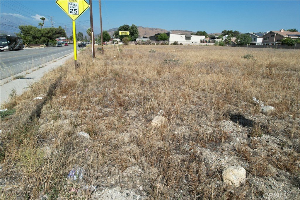 Picture 25