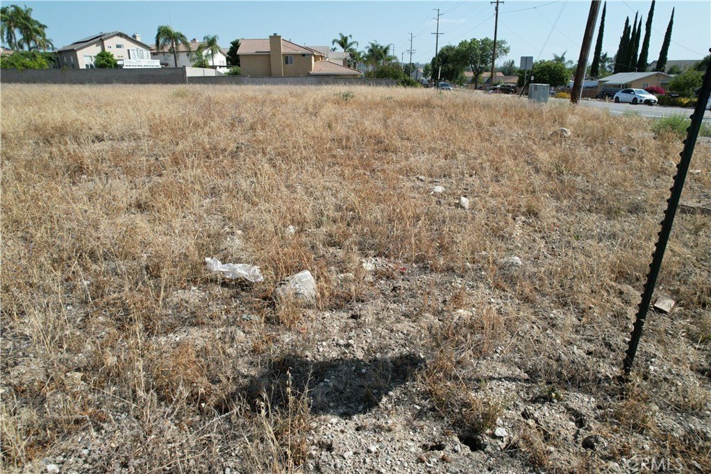 Picture 27