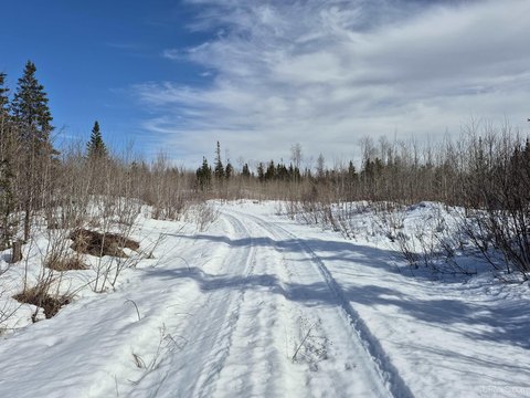80 Acres of Hunting Land