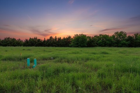 One Acre Homesite in Celeste