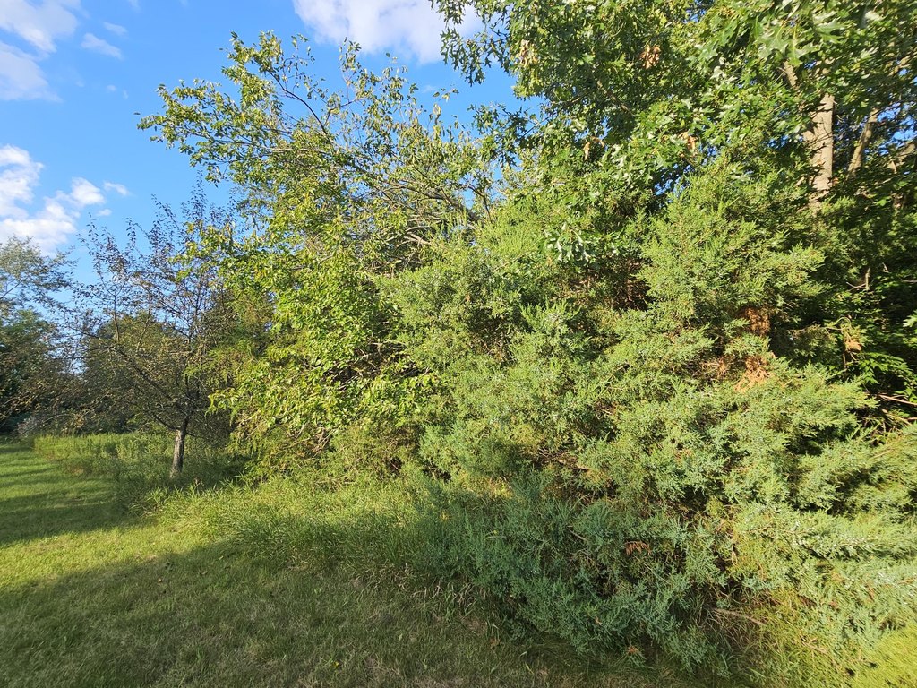 Picture 12