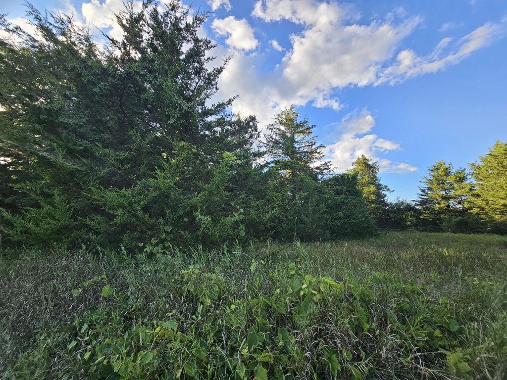 Picture 21