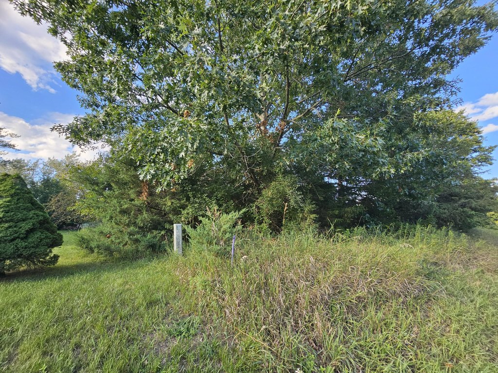 Picture 22