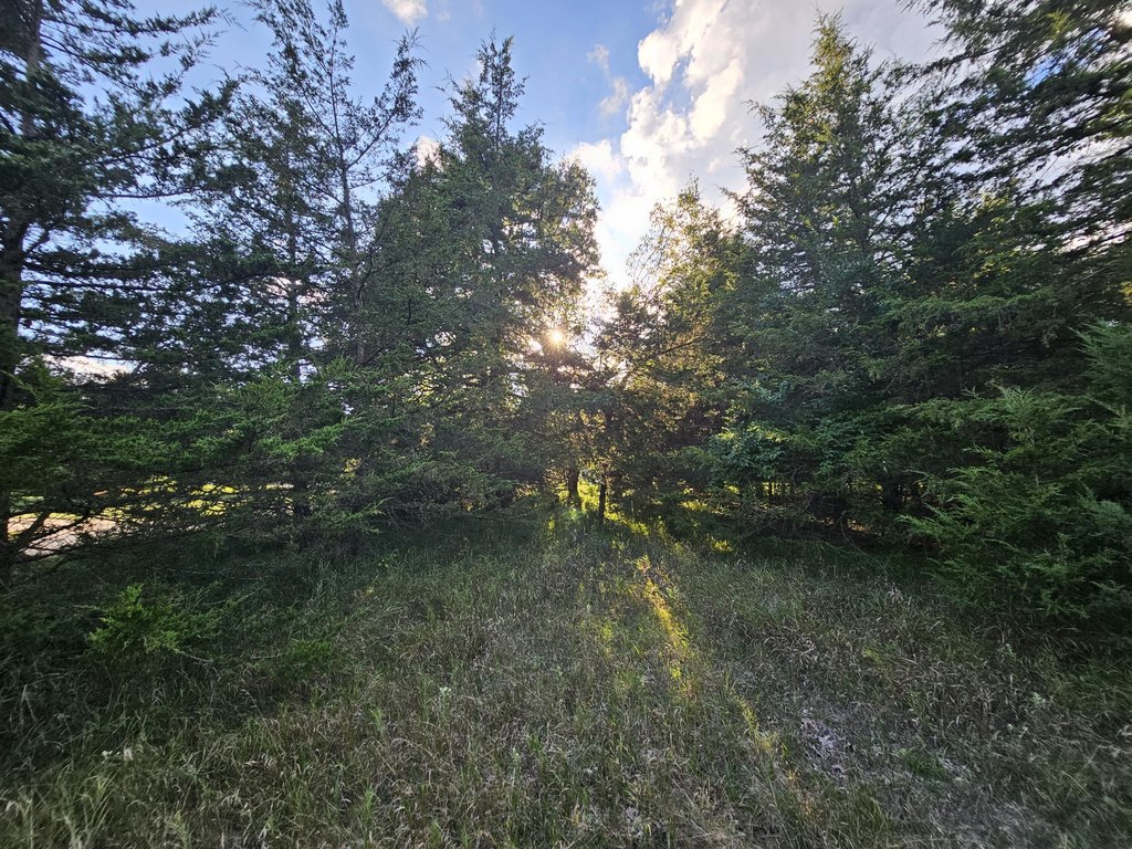 Picture 23