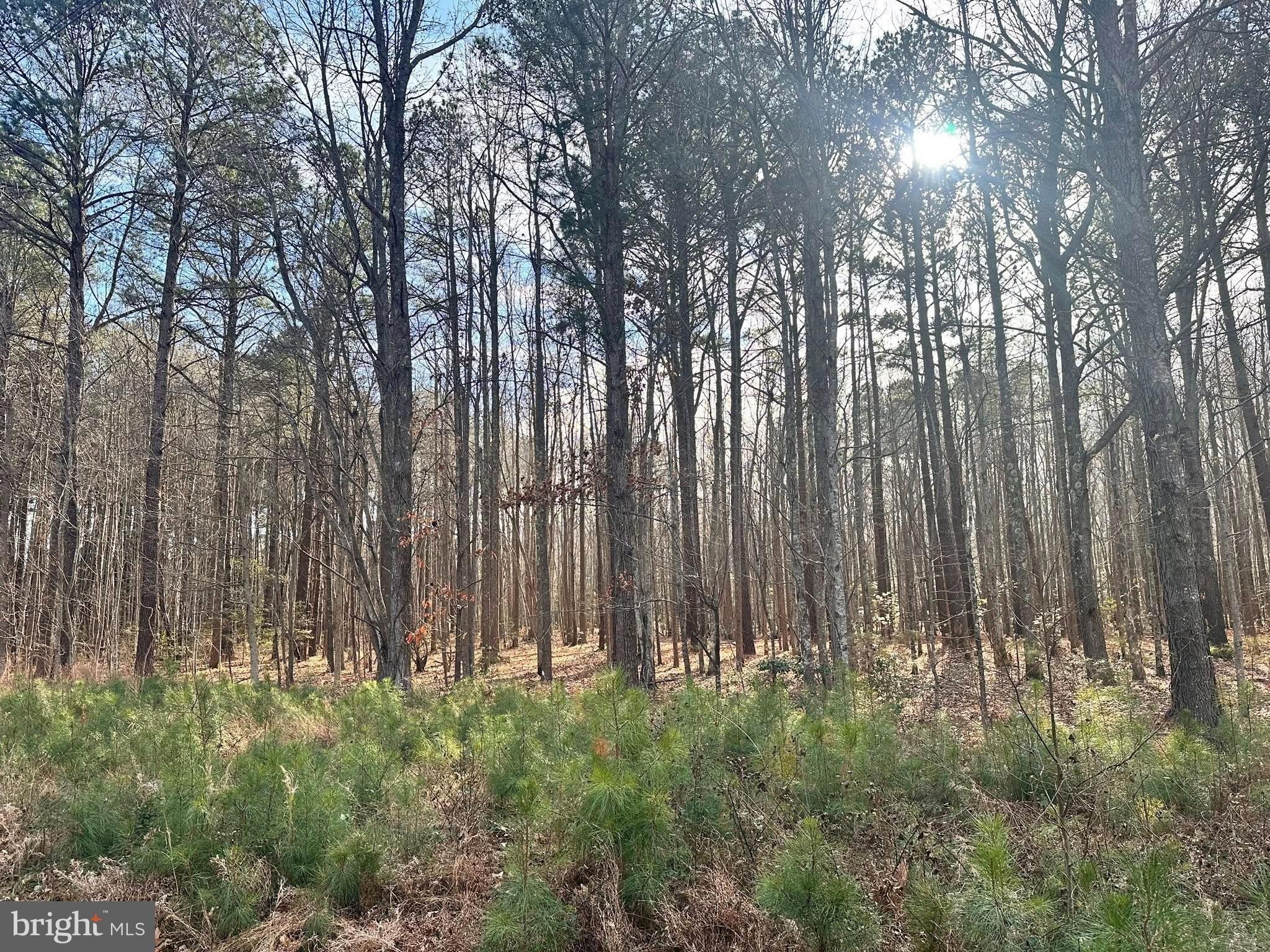 Residential Land in Tranquil Community