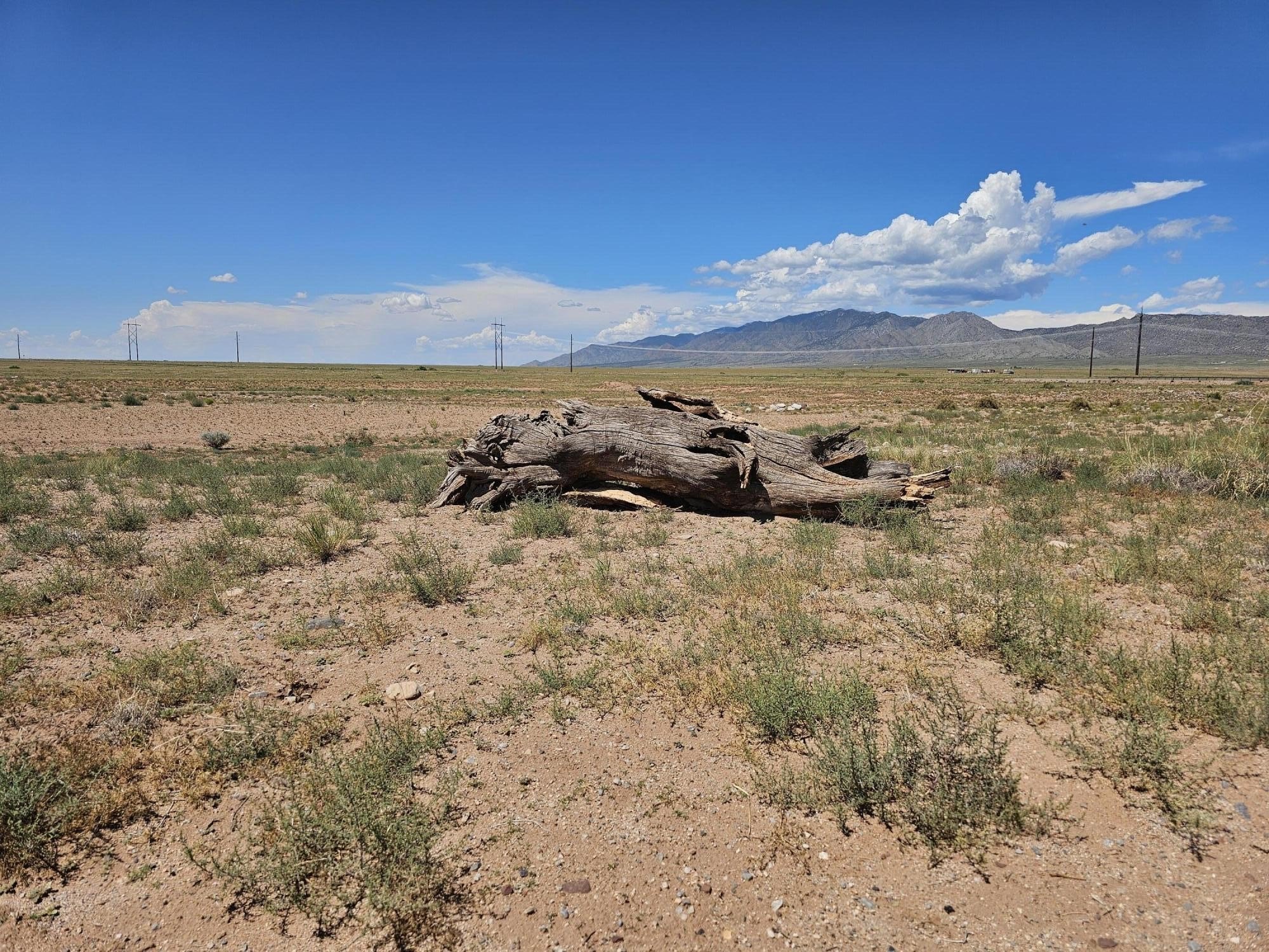 Land in Socorro, New Mexico