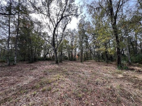 Marsh Front Homesite in Brunswick