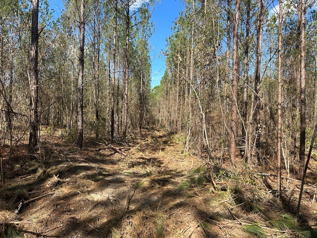 Picture 14