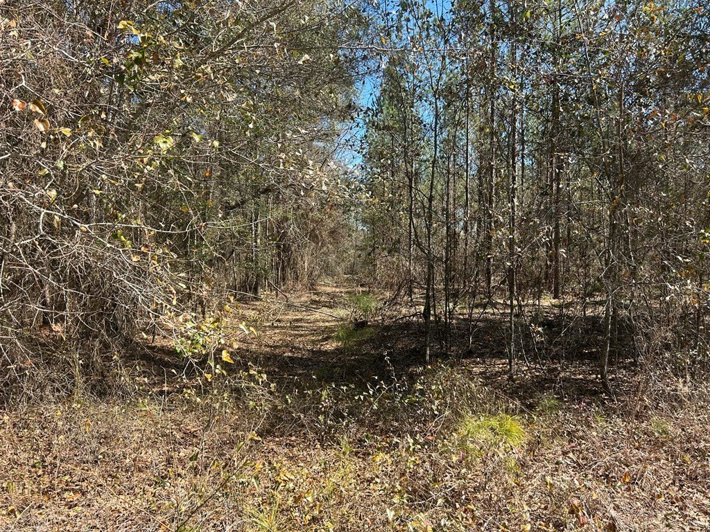 Picture 6