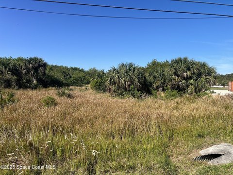 GRANT-VALKARIA, FL