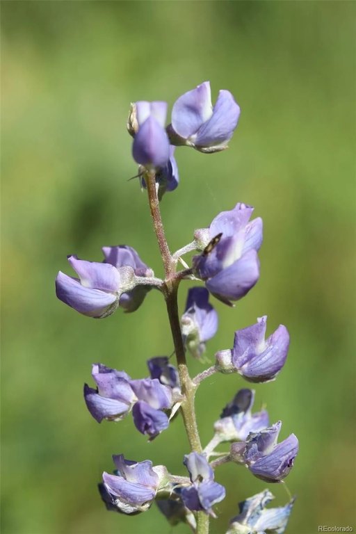 Picture 31