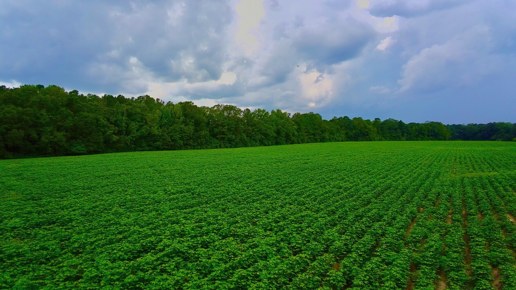 100-Acre Recreational & Farm Property