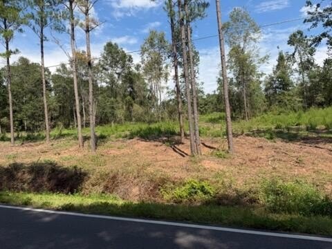 Land, Dothan, AL