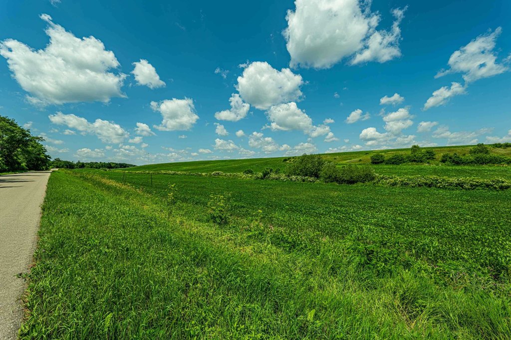 Picture 20