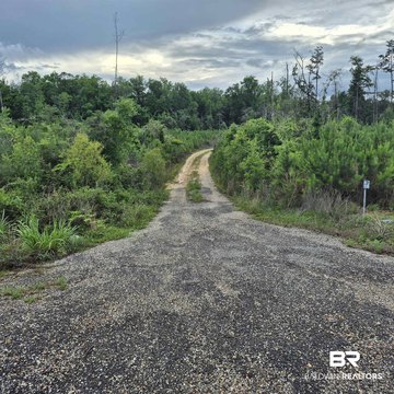Undeveloped Hunting/Recreation Land