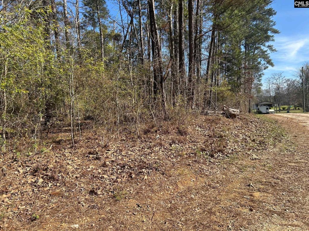 Picture 3