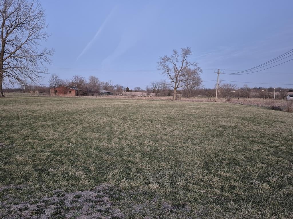 Picture 12