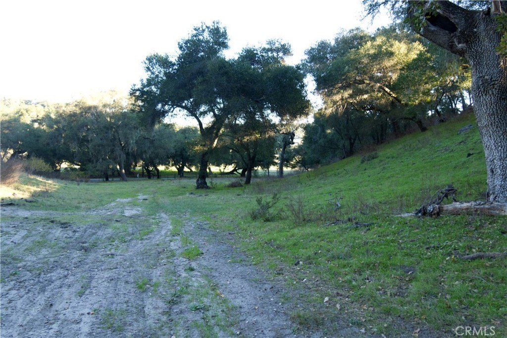 Picture 16