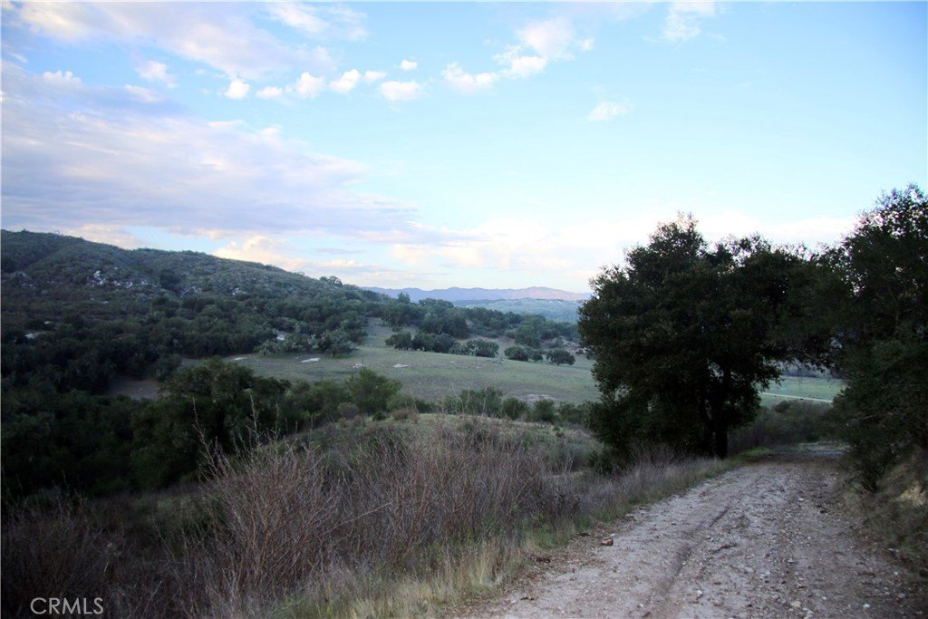 Picture 13