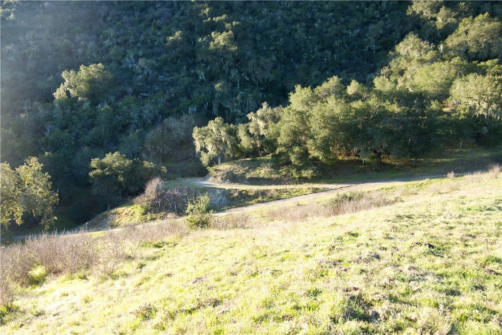 Picture 17