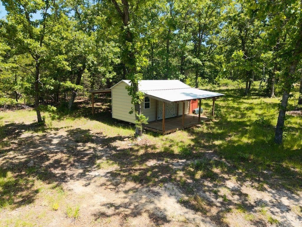 Picture 5