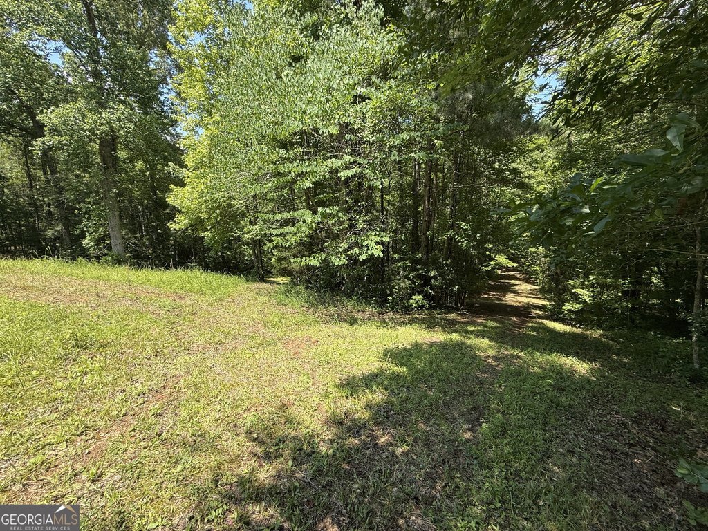 Picture 13