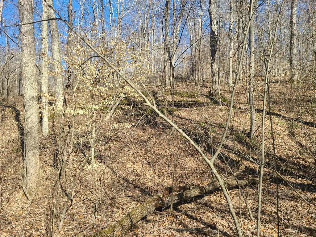 Picture 2