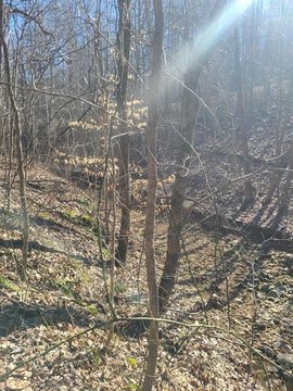 LAND - Eddyville, KY